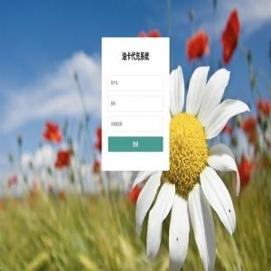 2022运营版java中石化油卡充值系统