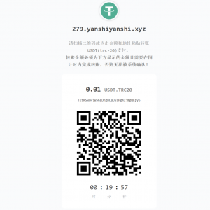 USDT支付系统/支付自动回调/ERC20协议/无接口费