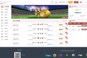 【包网资源】多语言JAVA反波胆/红利宝+裂变+VIP+代理/带开源工程