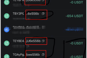 【商业资源】币圈钱包新合约/尾数模拟转账数据生成/0U攻击/币圈0U