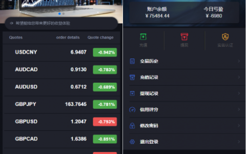 重构版海外微盘系统/外汇微交易系统/伪交易所源码