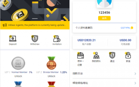 新UI多语言抢单刷单系统/卡单连单/订单自动匹配系统
