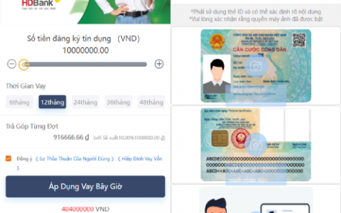 运营版越南小额贷款系统/海外套路贷/贷款平台源码