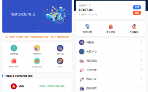 新版多语言海外投资理财系统/影视外汇虚拟币理财投资系统