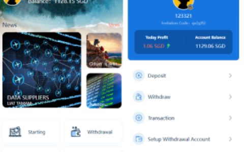 新版海外航空抢单刷单系统/订单自动匹配/前端uinapp