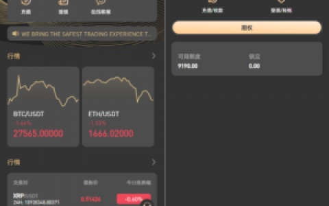 新版多语言海外微盘系统/微交易/虚拟币时间盘/伪交易所