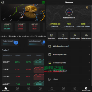 海外多语言微盘系统/外汇微交易源码/日本时间盘