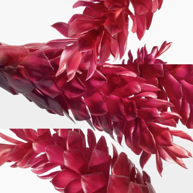 Tutti Twilly d’Hermès 爱马仕丝意荔韵淡香精