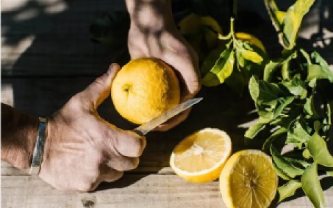 跟着鼻子找夏天