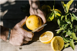 跟着鼻子找夏天