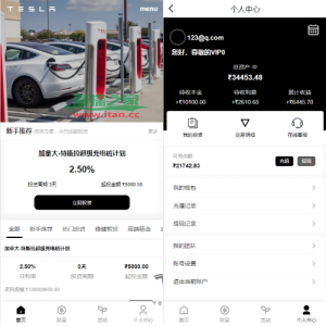 新版海外特斯拉投资系统/多语言投资理财/前端vue