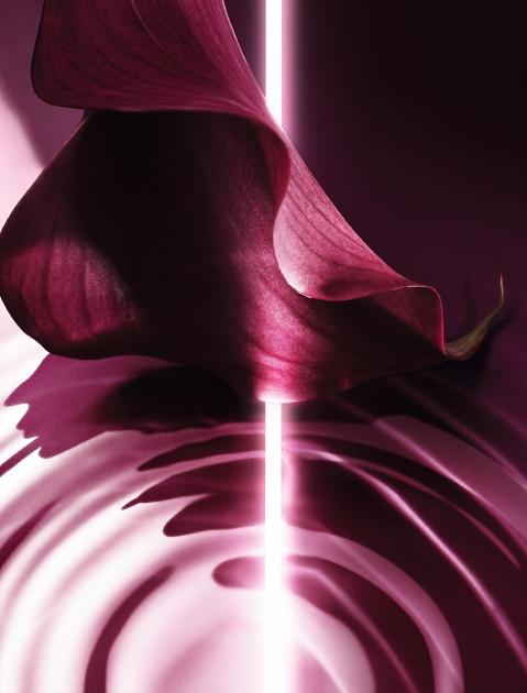 尽享DIOR迪奥花植精萃的芳香呵宠 焕活肌肤年轻力