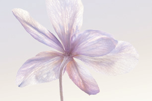 春季美白用什么 10款好物帮你有针对性的变白