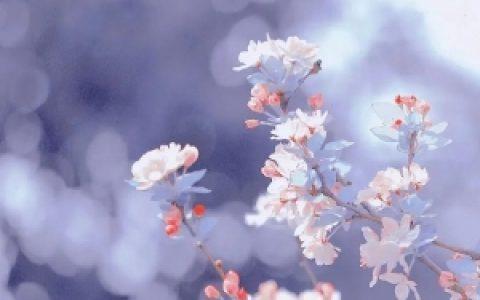 满屏都是跟素颜和解 只有我用香水跟宅家和解么？