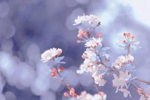 满屏都是跟素颜和解 只有我用香水跟宅家和解么？