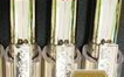 春春同款美唇色 巴黎欧莱雅丝柔CC轻唇膏评测