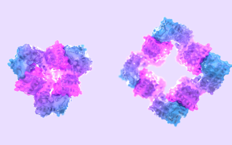 AI从头设计蛋白质「开关」，蛋白质设计的惊人突破，David Baker研究登Nature