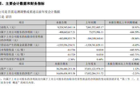 科大讯飞 2024 年上半年营收 93.25 亿元同比增长 18.91%，净亏损 4.01 亿元