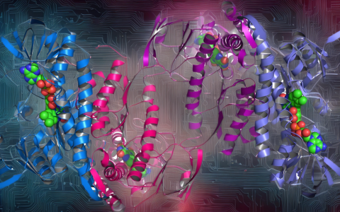 中科院计算所团队提出CarbonNovo，基于AI进行蛋白质结构和序列的端到端从头设计