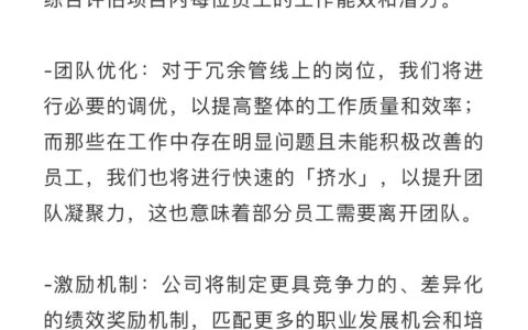 散爆网络内部信称《少女前线 2:追放》项目组将裁员,官方回应“进一步优化组织结构”