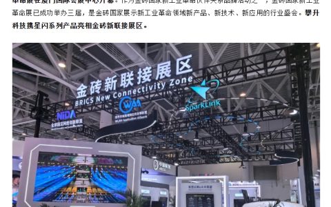 攀升星闪笔记本亮相 2024 金砖国家新工业革命展：支持多路视频并发无干扰等特性