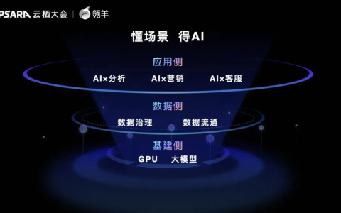 解码瓴羊：一群最懂数据的人如何让AI真正无处不在？