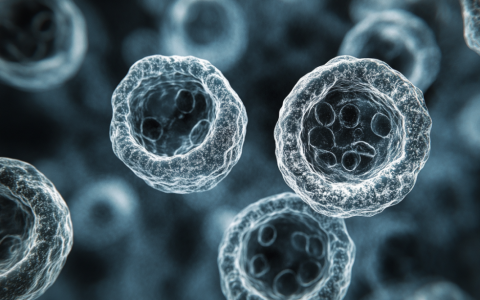 更简单、更清晰，解析核酸、蛋白、细胞等结构，AI实现快速分子模式挖掘