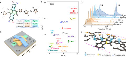 中科院在有机半导体材料室温自旋输运和微观弛豫研究获进展