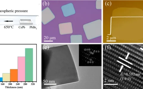 中山大学刘飞教授、邓少芝教授在基于非对称电极型Au/CsPbBr3/SmB6结构的高品质自驱动可见光探测器研究取得新突破