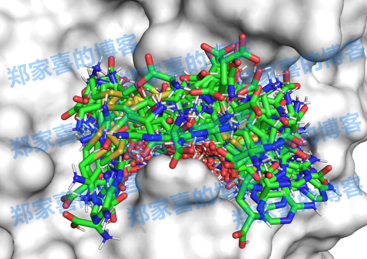 准确、高效、物理有效，中科大、北大提出「两段式」分子对接统一框架DeltaDock