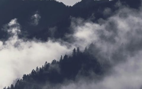 秋冬常见的氛围感元素，出门拍摄时不要错过