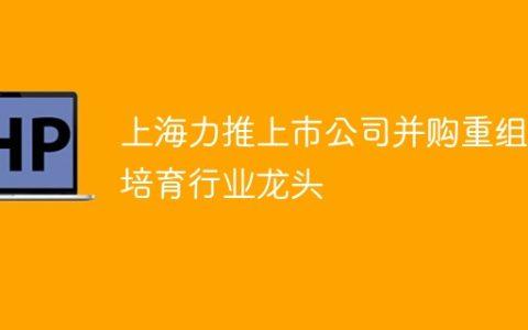 上海力推上市公司并购重组，培育行业龙头