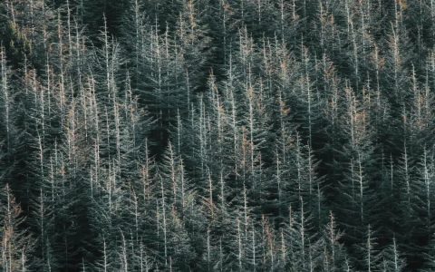 如何更好地在照片中表现秋冬氛围感