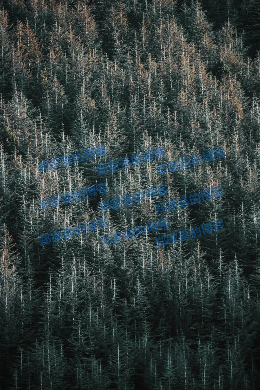 如何更好地在照片中表现秋冬氛围感