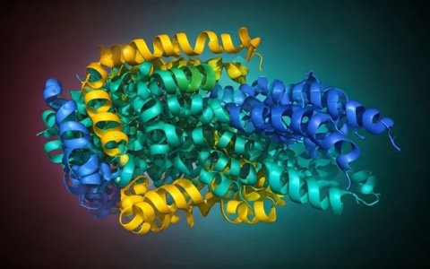 蛋白预测从数月缩短至数小时，MassiveFold出于AlphaFold而胜于AlphaFold3
