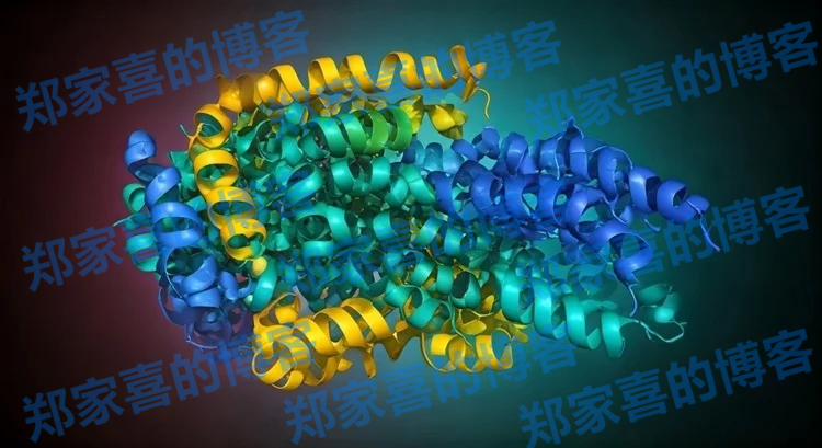 蛋白预测从数月缩短至数小时，MassiveFold出于AlphaFold而胜于AlphaFold3