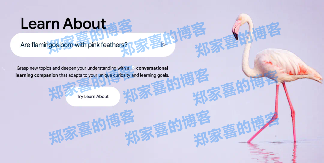 谷歌又捣鼓出好东西！有了这款AI学习神器，考试起码多考50分