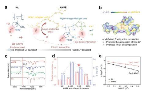 中国科学院苏州纳米所沈炎宾团队Angew. Chem.：阴离子调制--设计适用于高电压固态锂金属电池的聚合物电解质