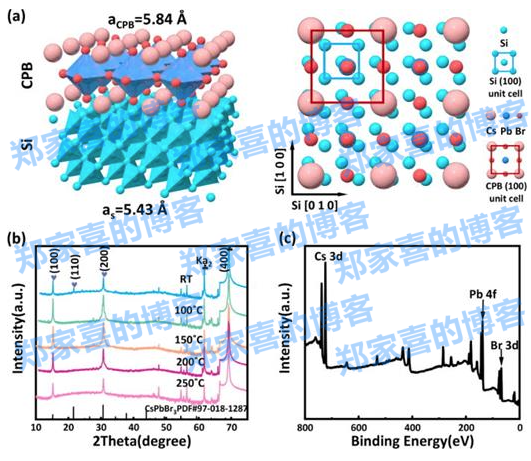济南大学APL： p-Si/CsPbBr3 异质结构光电探测器