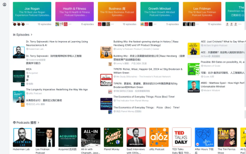 好东西！又来个播客界的谷歌NotebookLM，靠记笔记画脑图，月入近5万