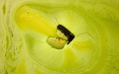 还不快跟上我们的怪趣脚步？  LUSH 推出 2024 惊奇怪趣万圣节系列  决定继续怪下去！