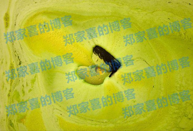 还不快跟上我们的怪趣脚步？  LUSH 推出 2024 惊奇怪趣万圣节系列  决定继续怪下去！