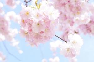 迎接春天有一百种方式 而我独爱香水！