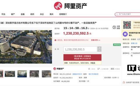 柔宇显示破产后名下资产将被公开拍卖，起拍价 12.3 亿元