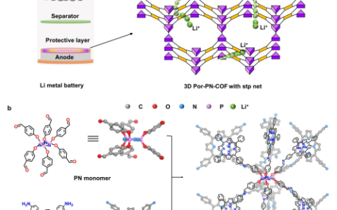 中国科学院发展出新型三维共价有机框架 助力实现高性能锂金属电池
