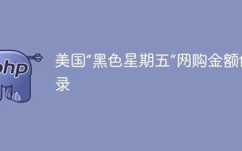 美国“黑色星期五”网购金额创纪录