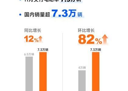 特斯拉上海超级工厂11月交付电动车7.9万辆 环比增长15%