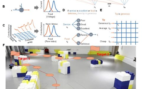 中国科学院微电子所在忆阻神经-模糊硬件及应用探索方面取得新进展