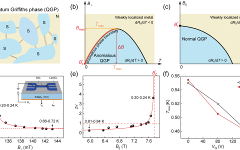 中国科大研究团队实现量子格里菲斯相的有效调控