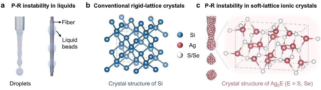 中国科大发现软晶格无机固体中的普拉托-瑞利不稳定性现象